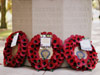 Friends of Brandwood Cemetery
